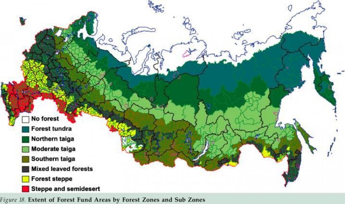 Russian forest map