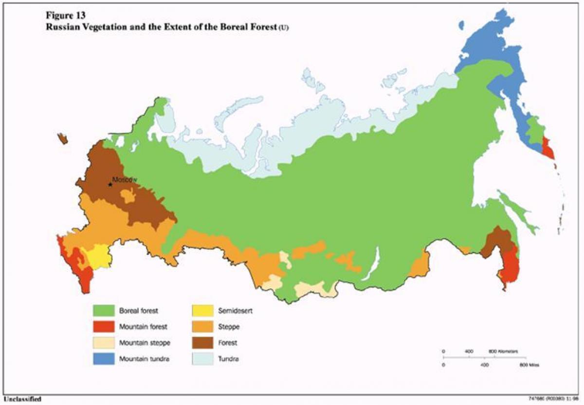tundra Russia map